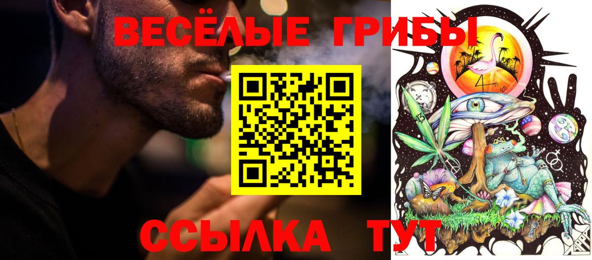 Галлюциногенные грибы Psilocybine cubensis Узловая